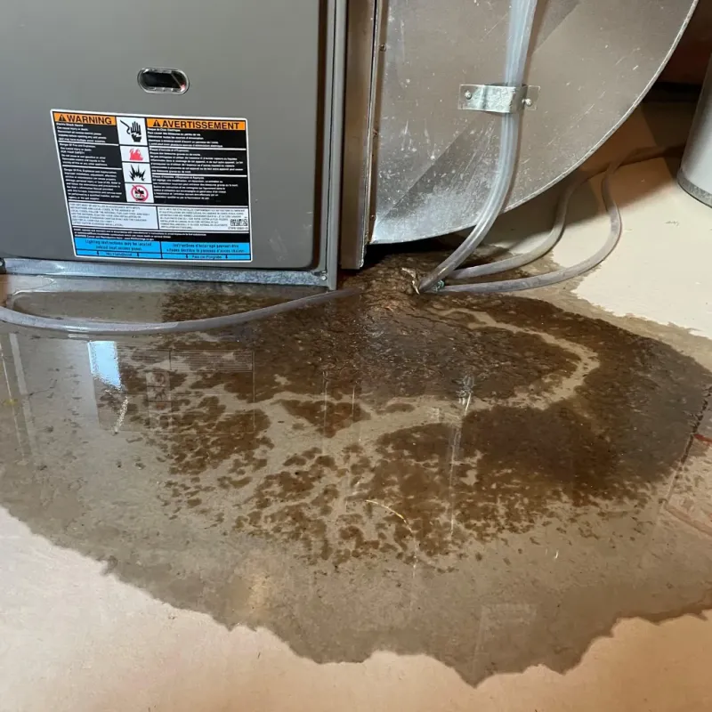 Appliance Leak Cleanup in Palo Cedro, CA